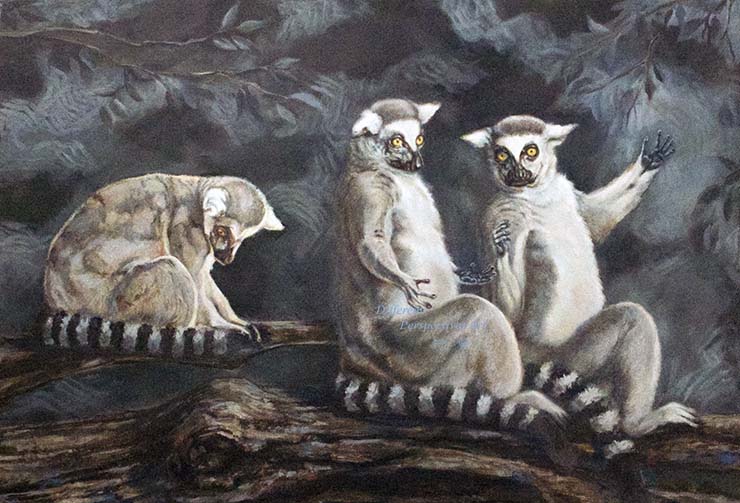 LemurNormal
